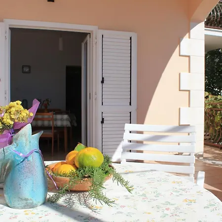 Apartment Ivana *